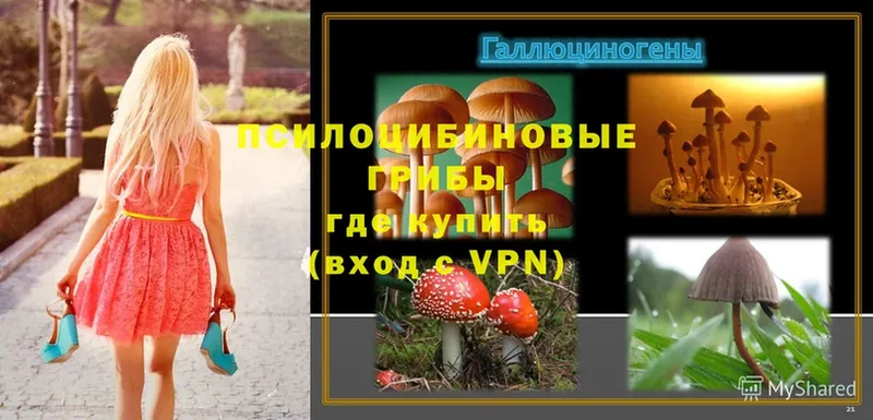 Псилоцибиновые грибы Magic Shrooms  Ишимбай 